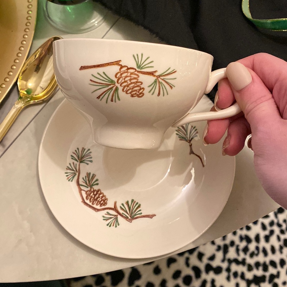 Vintage Stetson Marcrest Misty Pine MCM Pinecone Cup and Saucer